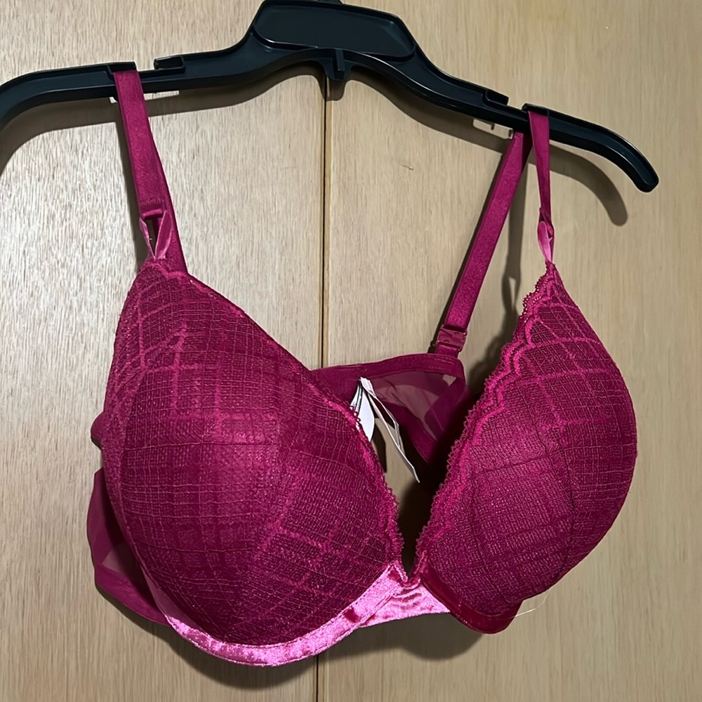 Victorias Secret Lace with Velvet Trim Push-Up Bra 38DD